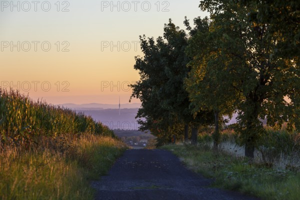 Path between corn fields at sunrise, in the background the Elbe Valley with Dresden and the television tower, seen from a round view, Bannewitz, Saxony, Germany