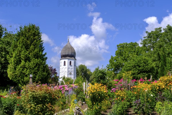 Blumengarten mit Klosterkirche, Campanile, Fraueninsel, Chiemsee, Chiemgau, Upper Bavaria, Bavaria, Germany