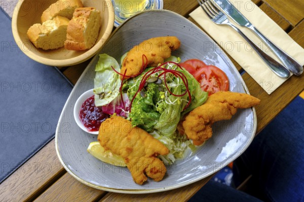 Styrian fried chicken salad, salad with fried chicken and pumpkin seeds, food, Achenkirch, Tyrol, Austria