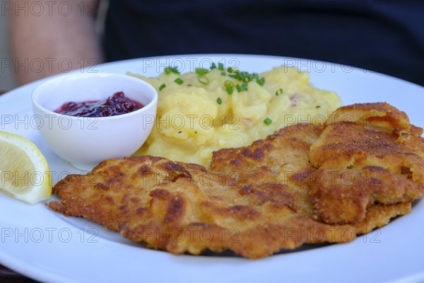Wiener Schnitzel, food, Schlossgaststätte Wildenwart, bei Prutting, Chiemgau, Upper Bavaria, Bavaria, Germany