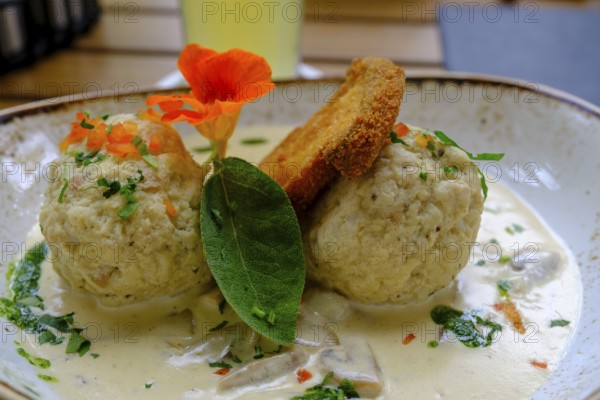 Bread dumplings with mushroom sauce, mushrooms, food, Achenkirch, Tyrol, Austria