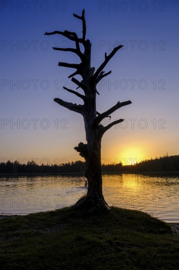 Sunset at Fonsee, Ostersee, near Iffeldorf, Upper Bavaria, Bavaria, Germany