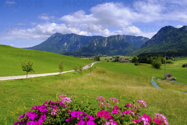 View from the Kesselalm near Inzell, to Hinterstaufen, Chiemgau, Upper Bavaria, Bavaria, Germany