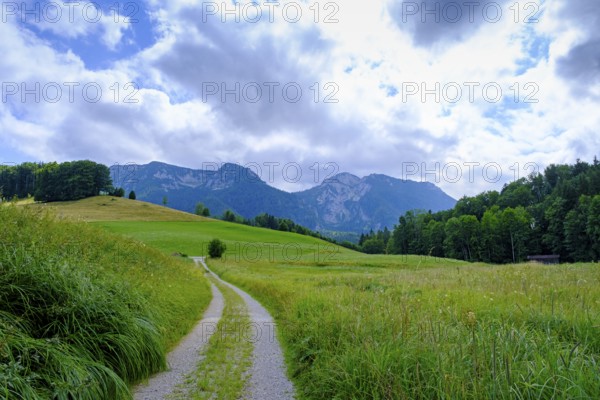 Hiking trail near Gschwendt an der Kesselalm near Inzell, Chiemgau, Upper Bavaria, Bavaria, Germany