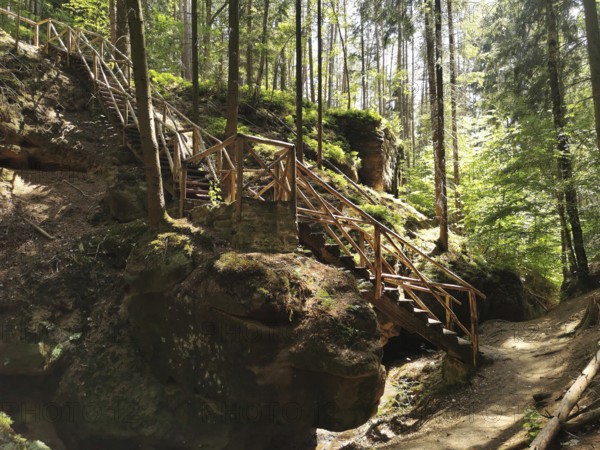 Wooden stairs lead through a forest surrounded by rocks, shadows and light play give an adventurous atmosphere, hiking in the Franconian Forest nature park Park