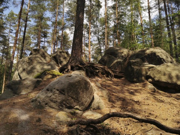 Rocky landscape with large rocks in a forest with tall trees and sun rays, hiking in the Franconian Forest nature park Park