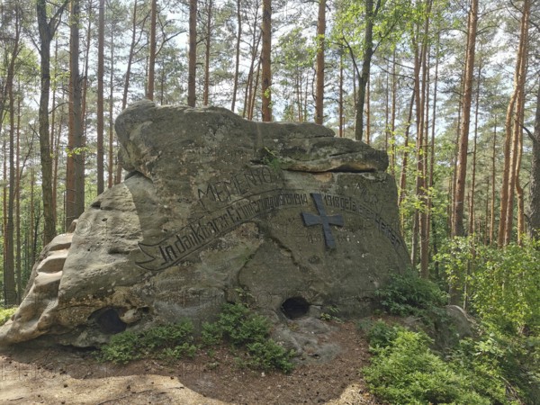 Large rock with inscription, war memorial in a light-flooded forest, hiking in the Franconian Forest nature park Park