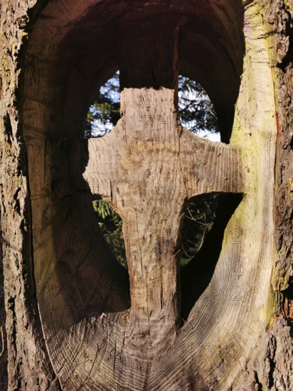 Wooden cross carved into a tree trunk steeped in sunlight, hiking in the Frankenwald nature park Park, Upper Franconia