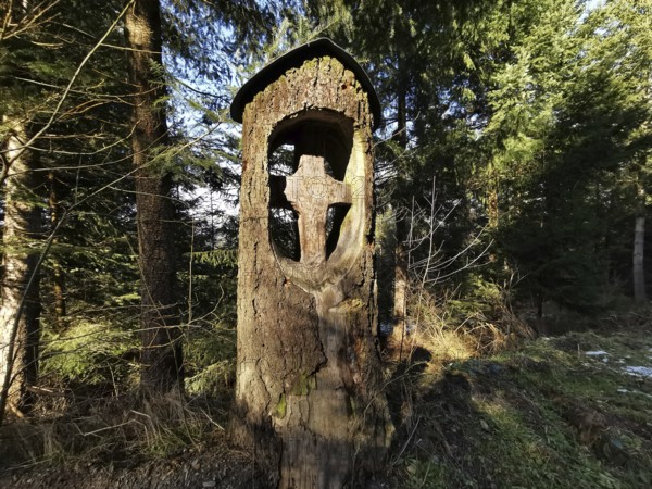 Wooden cross carved into a tree trunk in the forest in a cool atmosphere, hiking in the Franconian Forest nature park Park, Upper Franconia