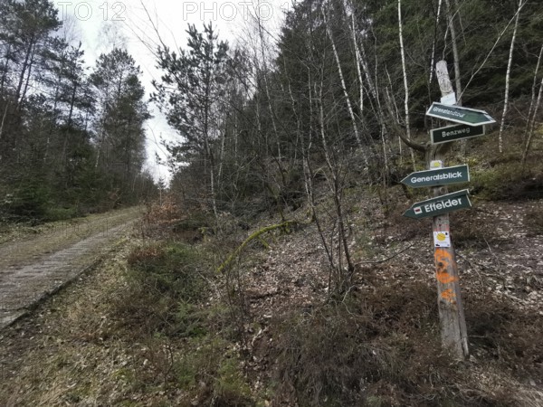 Signs guide hikers through a wooded path in autumn, on the former inner-German border, hiking along the green belt, Franconian Forest nature park Park