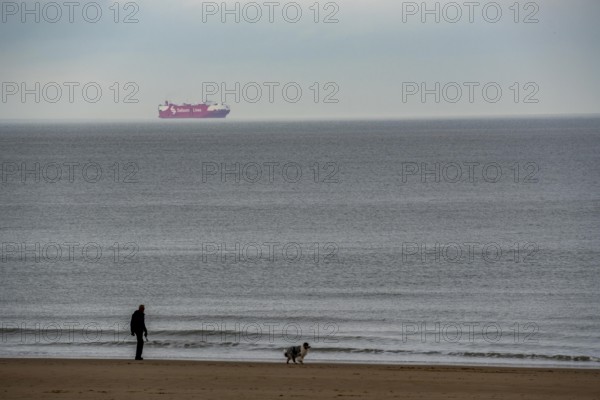 Winter break, on the Zeedijk-Knokke, beach promenade in Knokke-Heist, beach walkers with dogs, cargo ship on the North Sea, dreary winter day, Belgium