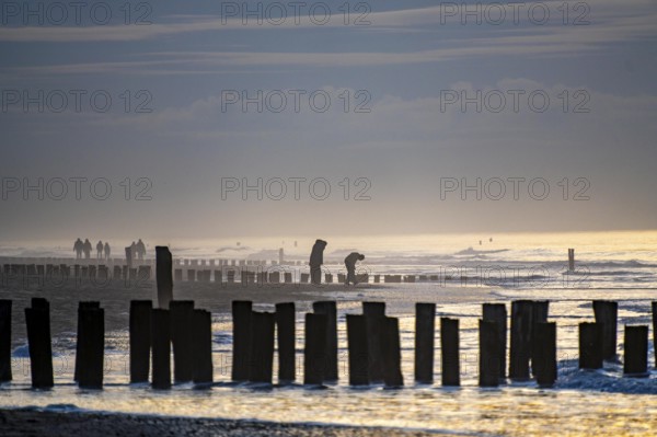 Winter on the North Sea, sunset at sea, beach walkers, coastal protection, through wooden posts, paalhoofden, on the beach, breakwater, the piles rammed into the sandy soil in double rows slow down the waves and ocean currents and thus slow down the flow rate of seawater, so less sand is washed away from the standing position, near Domburg, Walcheren peninsula in the Dutch province of Zeeland