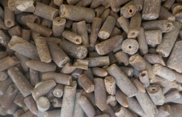 Fossils, thunderbolts or devil's fingers. Fossilised inner skeletons (rostrums) of extinct belemnites, between 358 and 66 million years old. Ancestors of the octopus. Island of Rügen, largest and most populous German island.Baltic Sea coast, Baltic Sea, Mecklenburg-Western Pomerania, Germany, Northern Europe