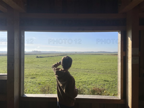Boy watching cranes with binoculars, Perfect place to watch cranes, Nabu, Crane panorama at Günzer See, Crane (Grus grus), Mecklenburg-Western Pomerania, Western Pomerania Bodden landscape, Germany
