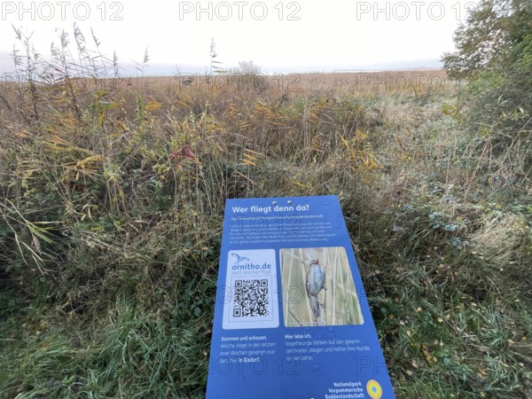 Information board in the national park near Bisdorf, Western Pomerania Lagoon Area National Park, Darss-Zingster Bodden Range, Baltic Sea, peninsula, nature, autumn, nature reserve, Fischland-Darß-Zingst, Mecklenburg-Western Pomerania, Germany