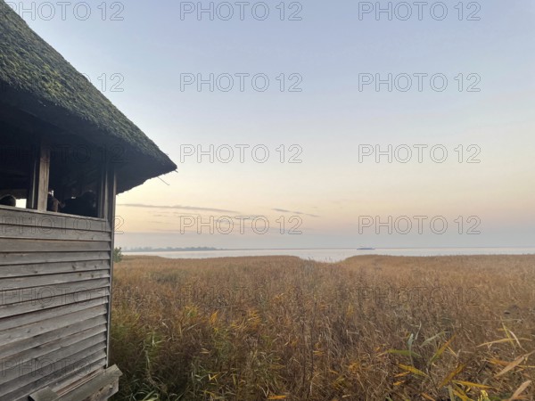 Perfect spot to watch cranes. Crane observation site near Bisdorf. Western Pomerania Lagoon Area National Park, Darss-Zingster Bodden Range, Baltic Sea, Peninsula, Nature, Autumn, Nature Reserve, Fischland-Darß-Zingst, Mecklenburg-Western Pomerania, Germany