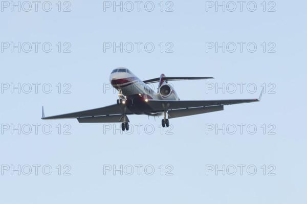 Gulfstream GIV SP XA-FDM executive business jet aircraft in flight on approach to land at London Stansted airport, Essex, England, United Kingdom