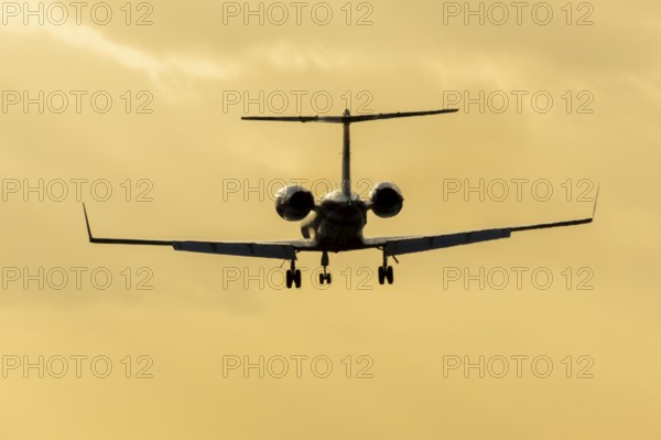 Gulfstream GIV SP XA-FDM executive business jet aircraft in flight on approach to land silhouette at sunset at London Stansted airport, Essex, England, United Kingdom