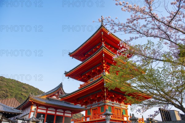 Sanjunoto Pagoda and Kyodo Hall in the evening light, cherry blossom, Kiyomizu-dera Temple, in the evening light, Buddhist temple complex, Higashiyama, Kyoto
