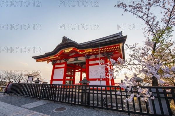 Red Nishimon Gate and blossoming cherry tree in the evening light, Kiyomizu-dera Temple, in the evening light, Buddhist temple complex, Higashiyama, Kyoto