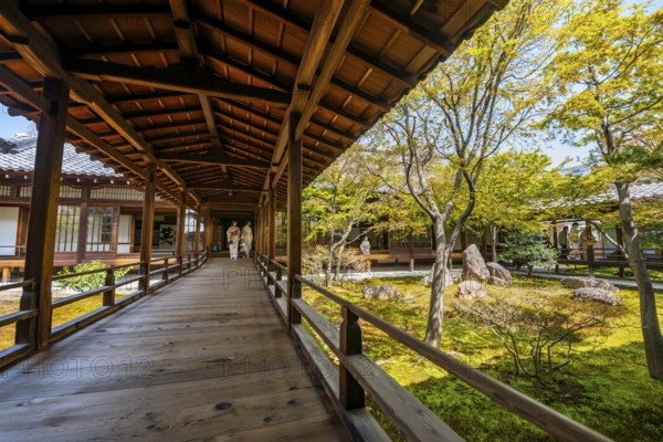 Japanese woman dressed in kimono in Kennin-ji Buddhist temple, O-shoin courtyard with Shione garden, Higashiyama, Kyoto, Japan
