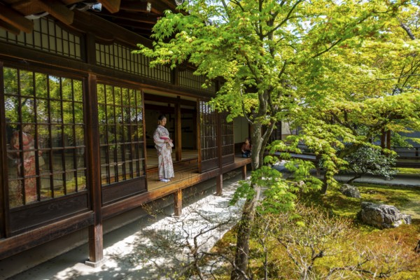 Japanese woman dressed in kimono in Kennin-ji Buddhist temple, O-shoin courtyard with Shione garden, Higashiyama, Kyoto, Japan