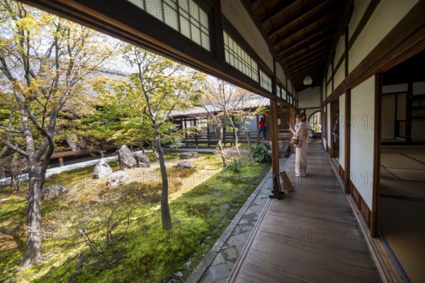 Japanese woman dressed in kimono, O-shoin courtyard with Shione garden, Kennin-ji Temple, Higashiyama, Kyoto, Japan