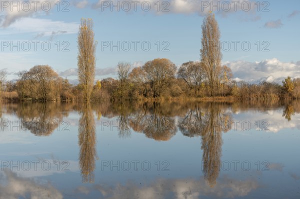 The river flows flat and reflects clouds and mountains under a clear sky. Autumn trees draw the shoreline. It is a quiet moment on the water's edge. Bas Rhin, Alsace, France