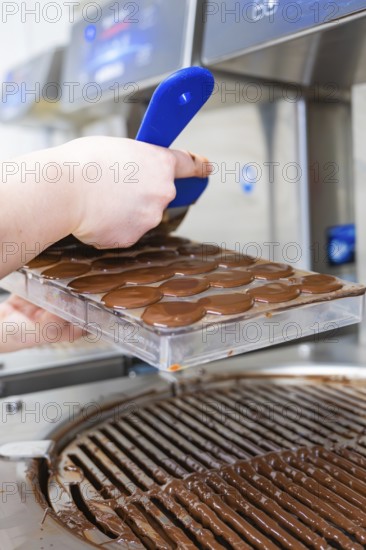 Removing the chocolate mold from a chocolate machine, vegan chocolate production, Haselstaller Hof, Gechingen, Germany