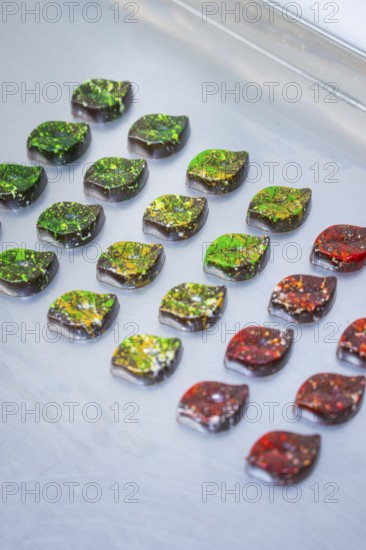 Chocolates in intense colors, decorated in leaf shapes, lie on a surface, vegan chocolates production, Haselstaller Hof, Gechingen, Germany