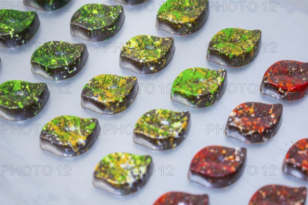 Colourful chocolates shaped like autumn leaves, arranged on a platter, vegan chocolates production, Haselstaller Hof, Gechingen, Germany