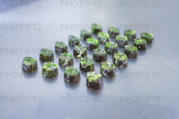 Numerous chocolates with green decorations on a smooth surface, vegan chocolates production, Haselstaller Hof, Gechingen, Germany