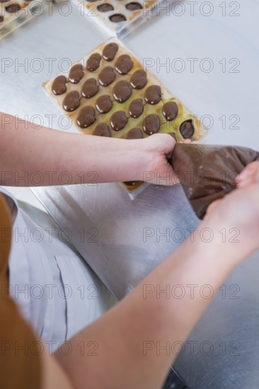 Hands fill liquid chocolate in a chocolate mold with a piping bag, vegan chocolates production, Haselstaller Hof, Gechingen, Germany