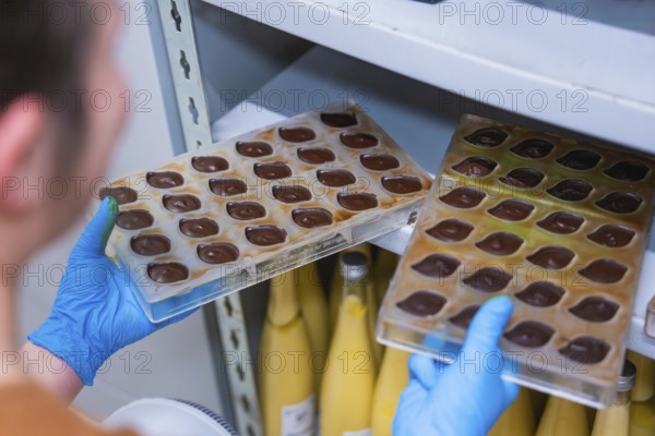 Person with blue gloves holding chocolate molds in front of a shelf with yellow bottles, Vegan Chocolates Production, Haselstaller Hof, Gechingen, Germany