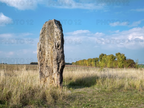 The menhir of Derenburg, height 2, 9m, Wernigerode, Harzvorland, Saxony-Anhalt, Germany
