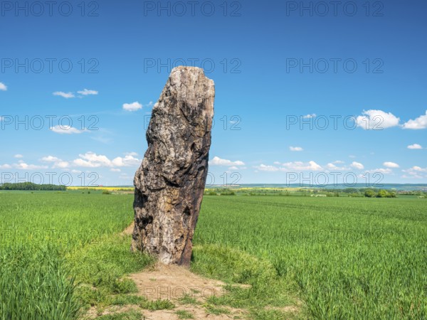 The menhir of Benzingerode, with a height of 3.85 m the largest prehistoric menhir in northern Germany, Wernigerode, Harzvorland, Saxony-Anhalt, Germany