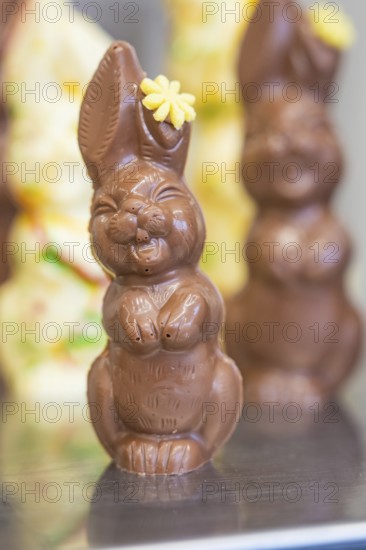 Chocolate bunny made from milk chocolate with a small yellow flower as decoration, Easter production of regional products, Haselstaller Hof, Gechingen, Calw district, Germany