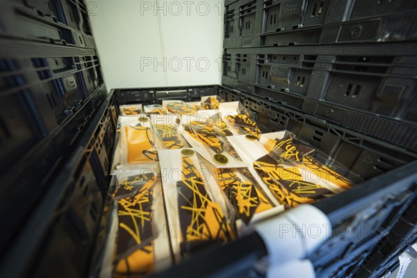 Chocolate packaging stacked in a box with modern design, Easter production of regional products, Haselstaller Hof, Gechingen, Calw district, Germany
