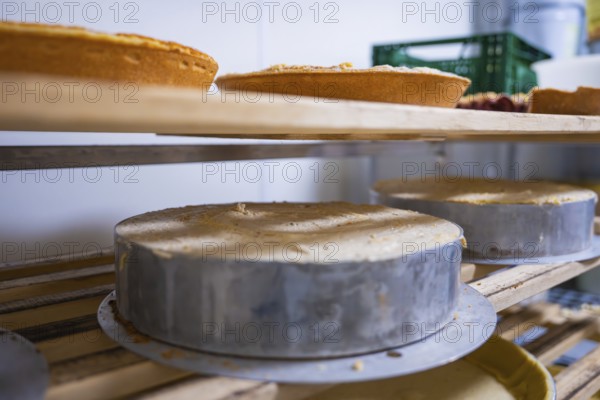Cakes on wooden shelves in the bakery, ready to be baked, Easter production of regional products, Haselstaller Hof, Gechingen, Calw district, Germany