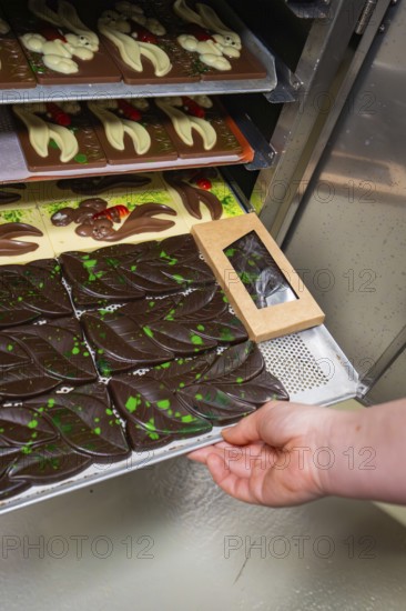 Hand pulls a tray with chocolate bars and chocolates out of the oven, Easter production of regional products, Haselstaller Hof, Gechingen, Calw district, Germany