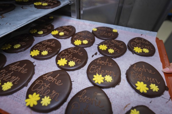 Chocolate eggs with yellow flowers and Easter greetings, lined up on a baking tray, Easter production of regional products, Haselstaller Hof, Gechingen, Calw district, Germany