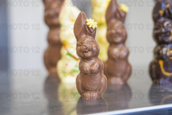 Chocolate bunnies in various sizes as classic Easter decoration, Easter production of regional products, Haselstaller Hof, Gechingen, Calw district, Germany