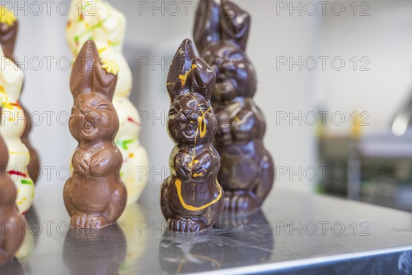 Various chocolate bunnies in dark brown and beige with Easter decoration, Easter production of regional products, Haselstaller Hof, Gechingen, Calw district, Germany