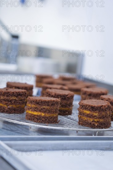 Small chocolate cakes with filling on a cake rack in a kitchen, vegan cake production, Haselstaller Hof, Gechingen, Germany