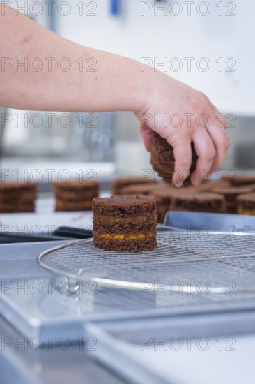 Hand places cookies on a grid in the kitchen, vegan cake production, Haselstaller Hof, Gechingen, Germany