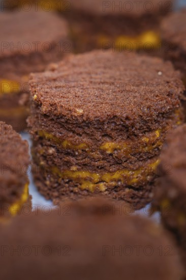 Close-up of chocolate cake with yellow layers, vegan cake production, Haselstaller Hof, Gechingen, Germany