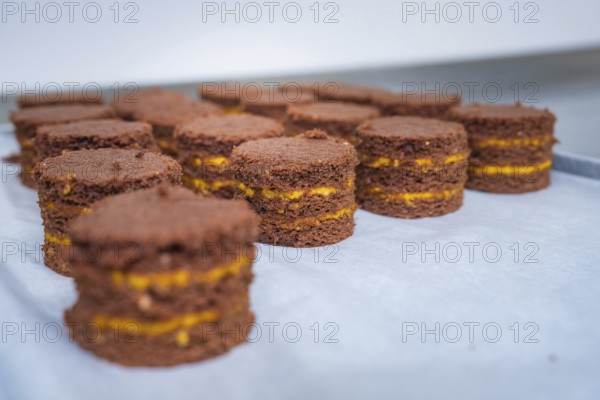 Set of chocolate cakes with yellow layers on baking tray, vegan tarts production, Haselstaller Hof, Gechingen, Germany