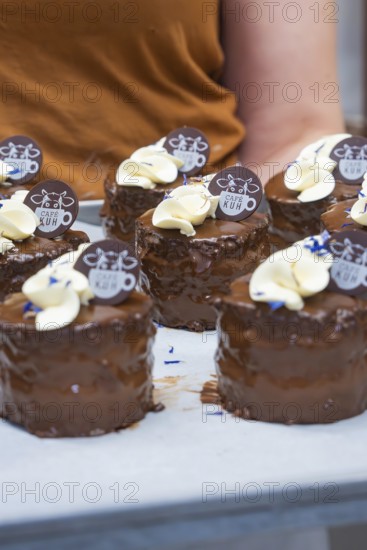 Person carrying tray with small, decorated chocolate cakes, vegan cake production, Haselstaller Hof, Gechingen, Germany
