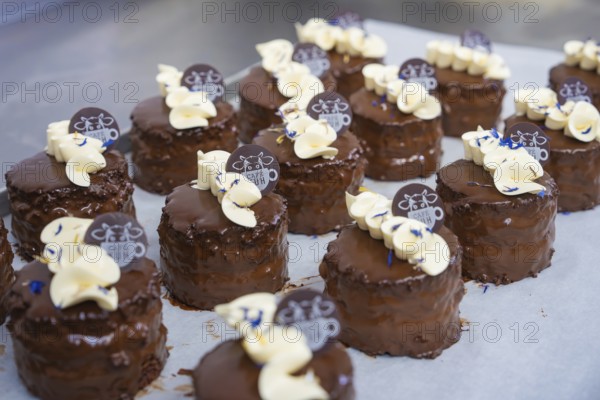 Several chocolate cakes on a tray, decorated with cream and logos, vegan cake production, Haselstaller Hof, Gechingen, Germany