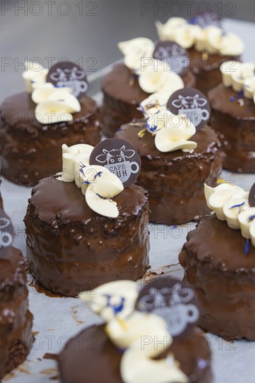 Small chocolate cakes with cream and chocolate logo on tray, vegan cake production, Haselstaller Hof, Gechingen, Germany